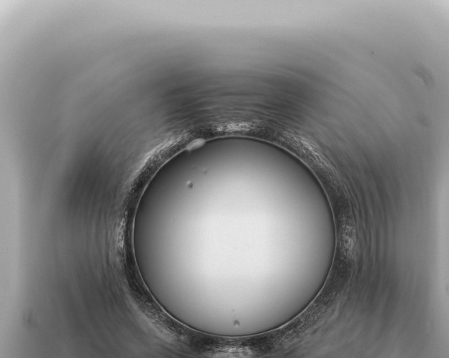 X0000115140543200911101709