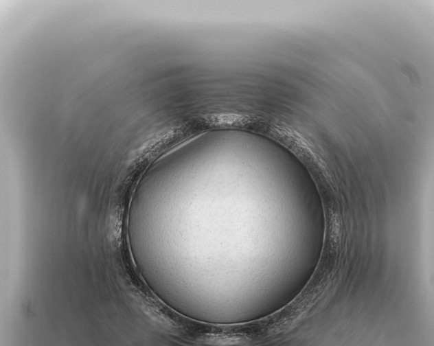 X0000115140545200911101709