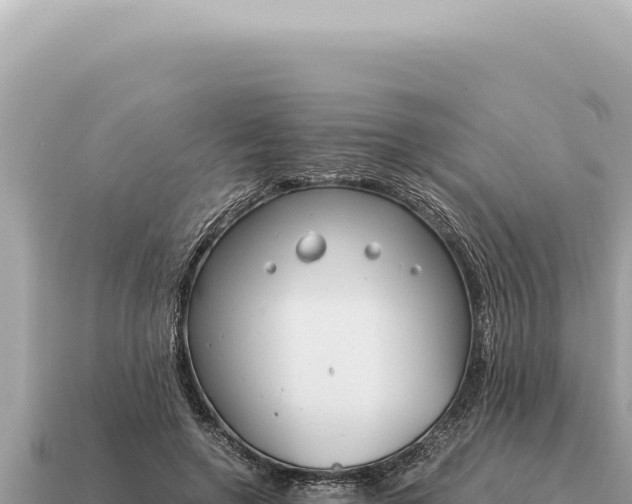 X0000115140546200911101709