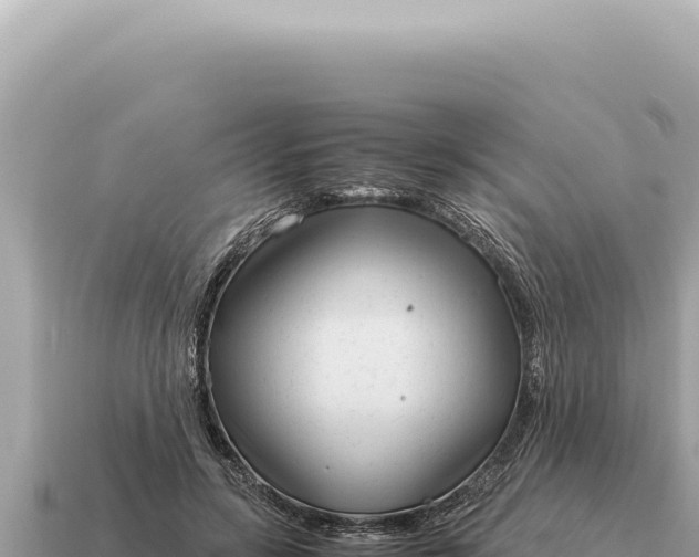 X0000115140547200911101709