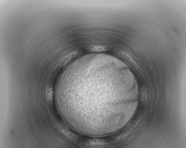 X0000115140549200911101709