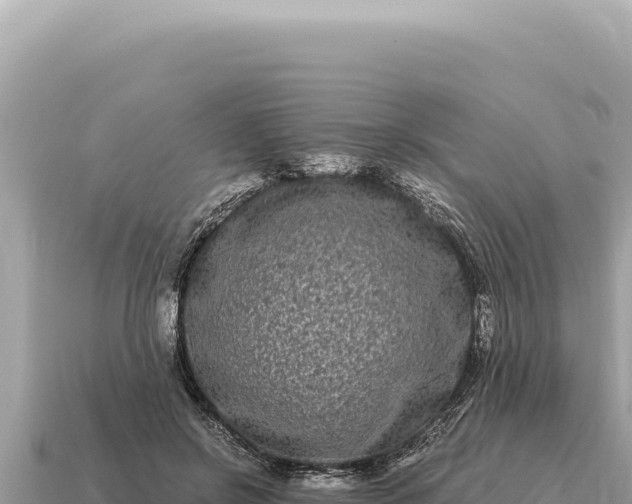 X0000115140550200911101709