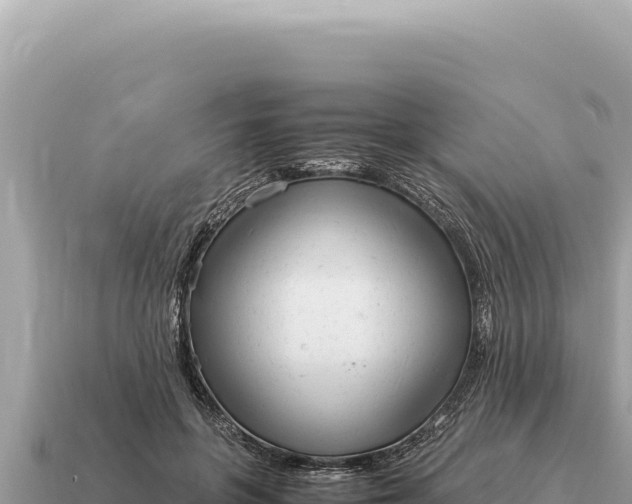 X0000115140551200911101709
