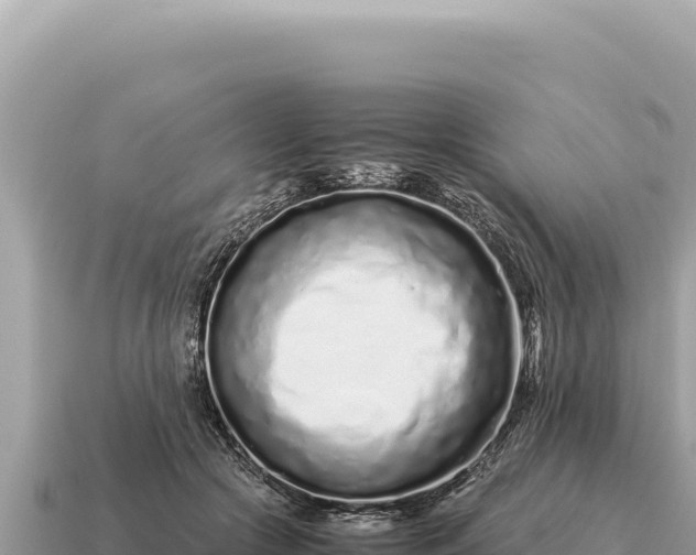 X0000115140553200911101709