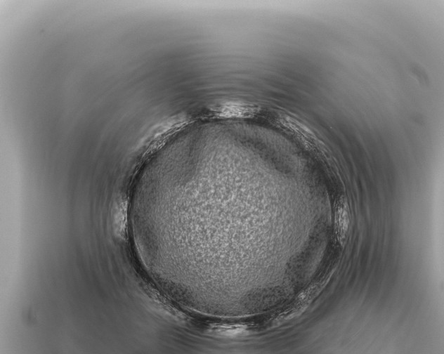 X0000115140554200911101709