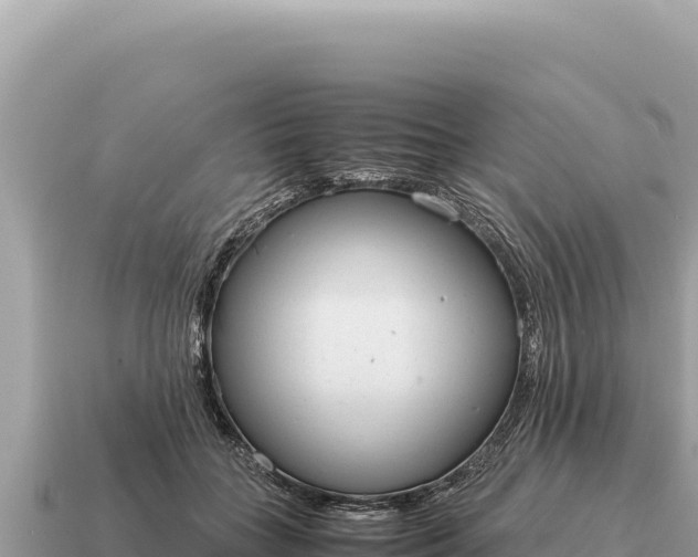 X0000115140555200911101710