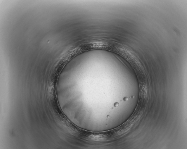 X0000115140557200911101710