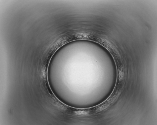 X0000115140561200911101710
