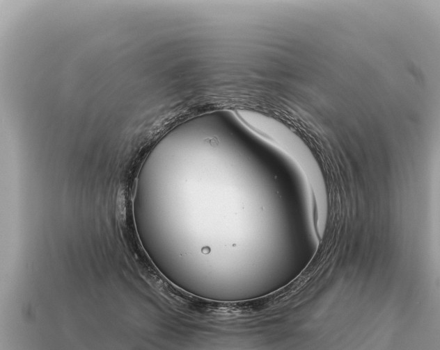 X0000115140562200911101710