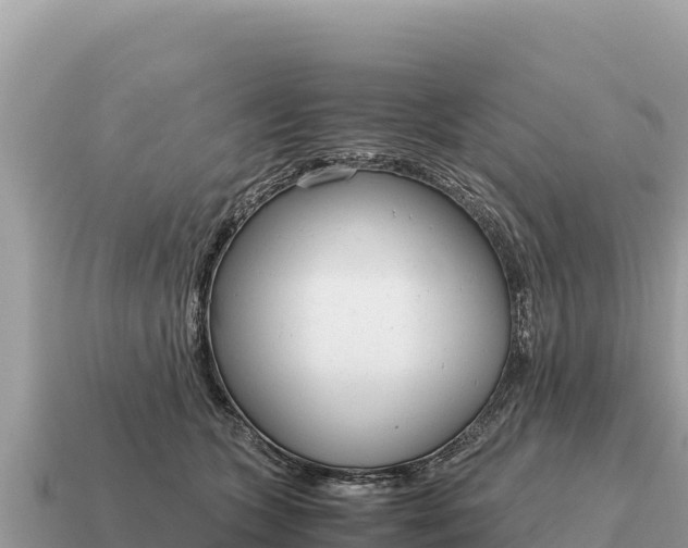X0000115140563200911101710