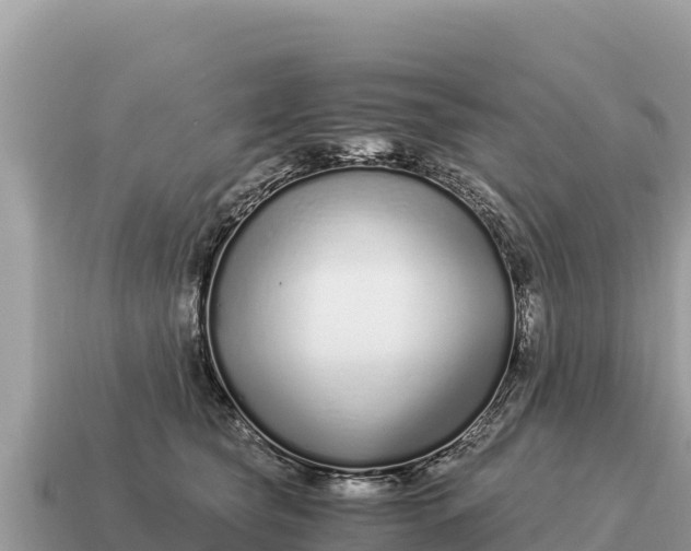 X0000115140565200911101710