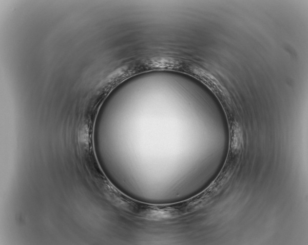 X0000115140569200911101710