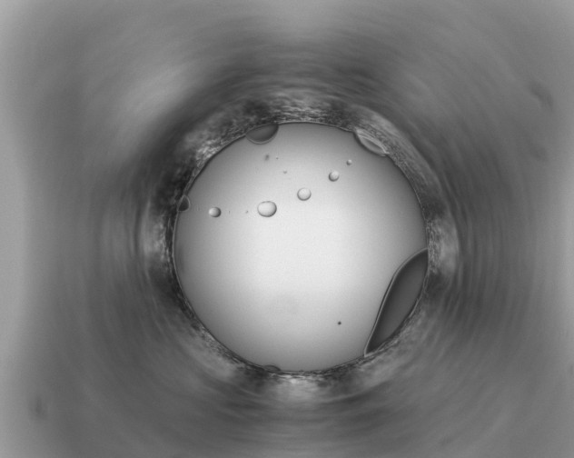 X0000115140573200911101710