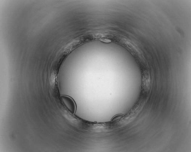 X0000115140574200911101710