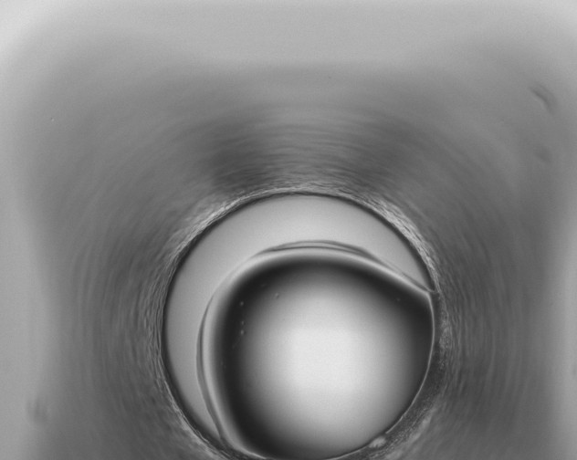 X0000115140577200911101709