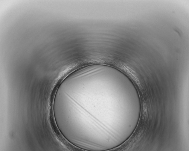 X0000115140578200911101709