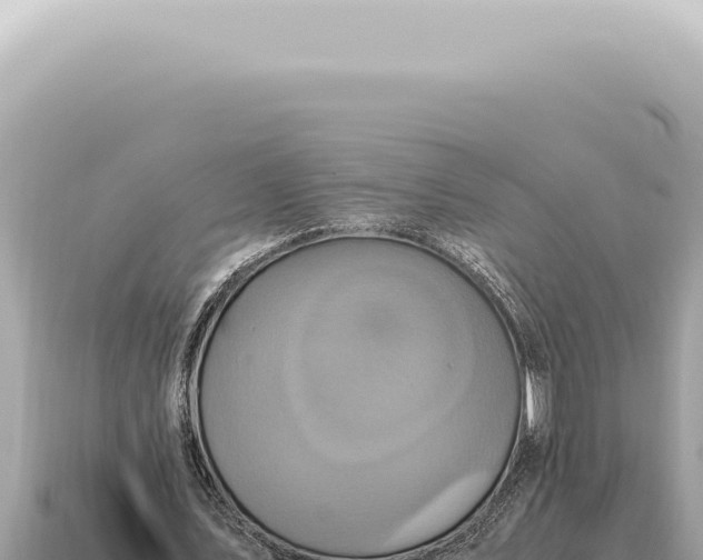 X0000115140579200911101709