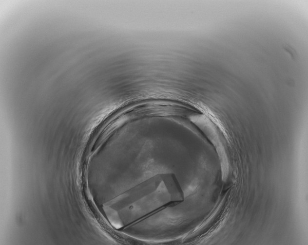 X0000115140581200911101709