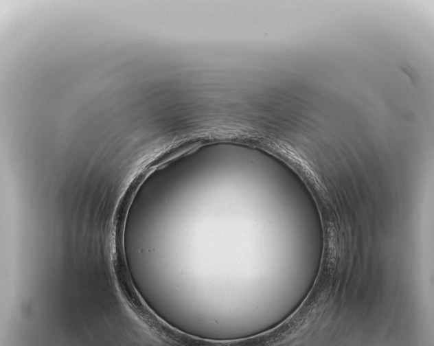 X0000115140582200911101709