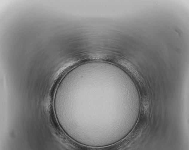 X0000115140583200911101709