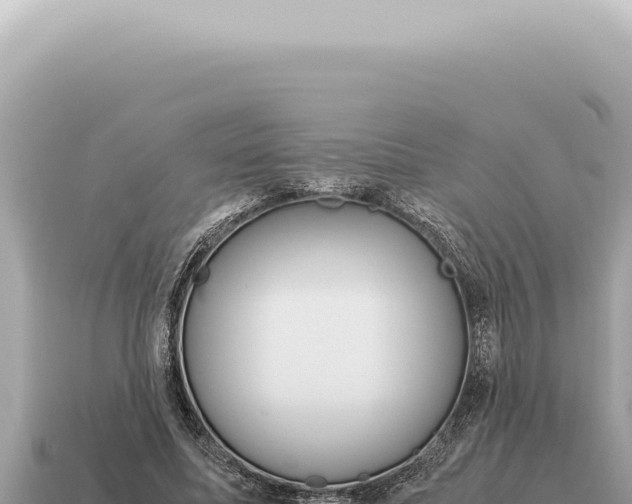 X0000115140587200911101709