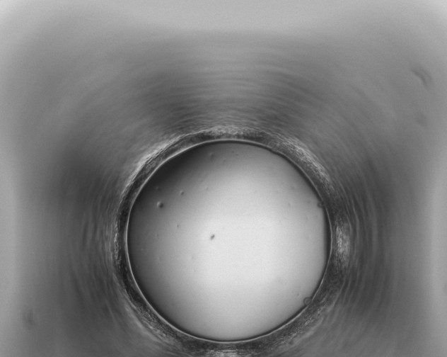 X0000115140588200911101709