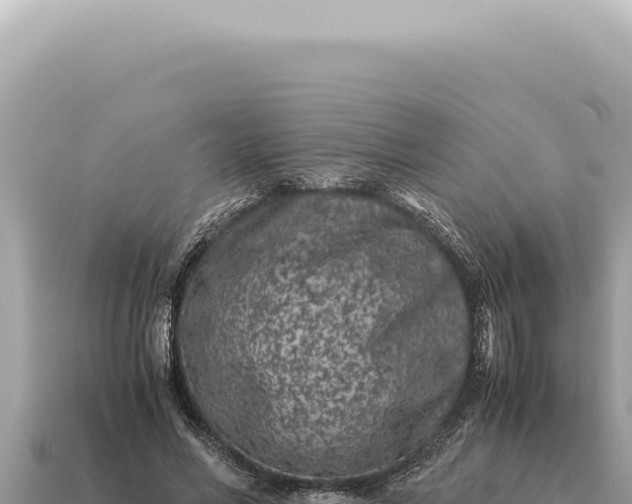 X0000115140590200911101709