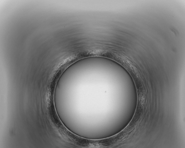 X0000115140591200911101709