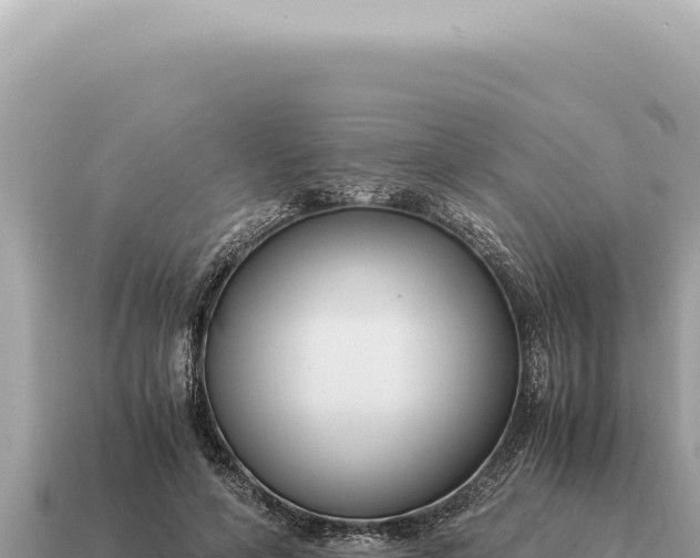 X0000115140594200911101709