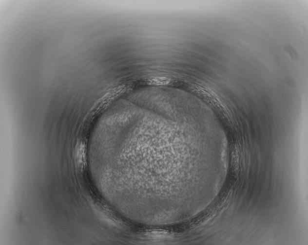 X0000115140598200911101709