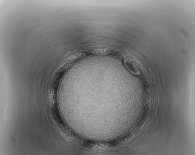 X0000115140599200911101709