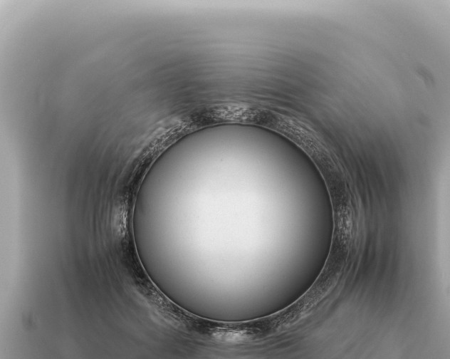 X0000115140602200911101709