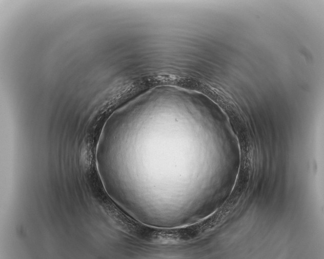 X0000115140606200911101709