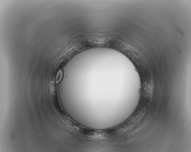 X0000115140612200911101709