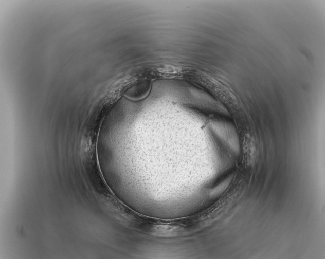 X0000115140614200911101709