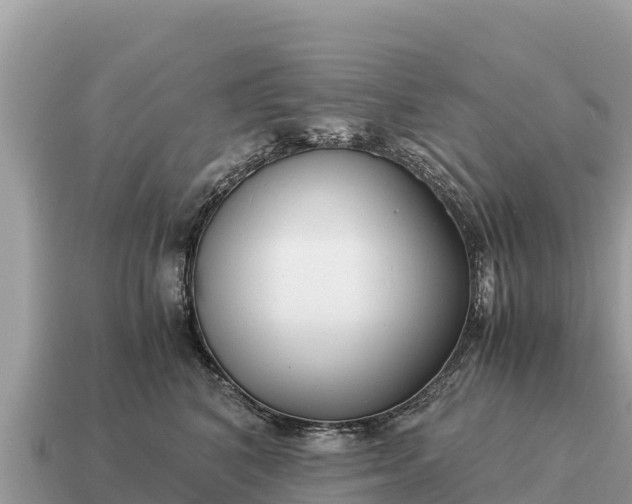 X0000115140616200911101709