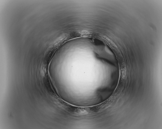 X0000115140618200911101709