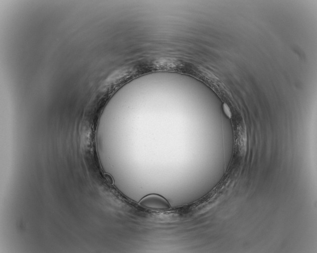 X0000115140619200911101709