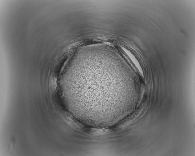 X0000115140621200911101709