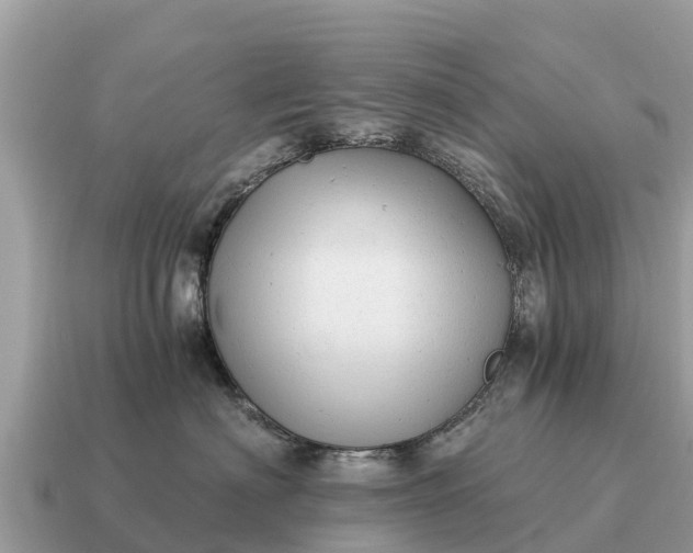 X0000115140622200911101709