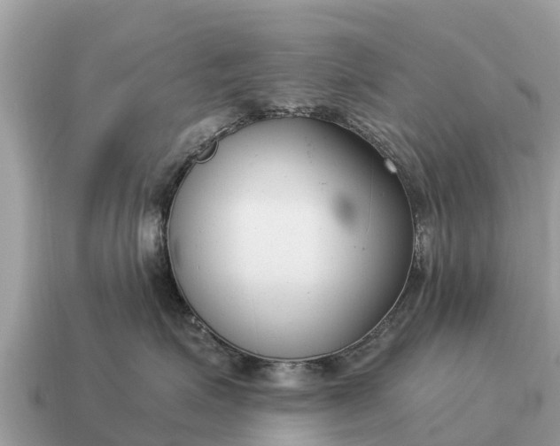 X0000115140623200911101709