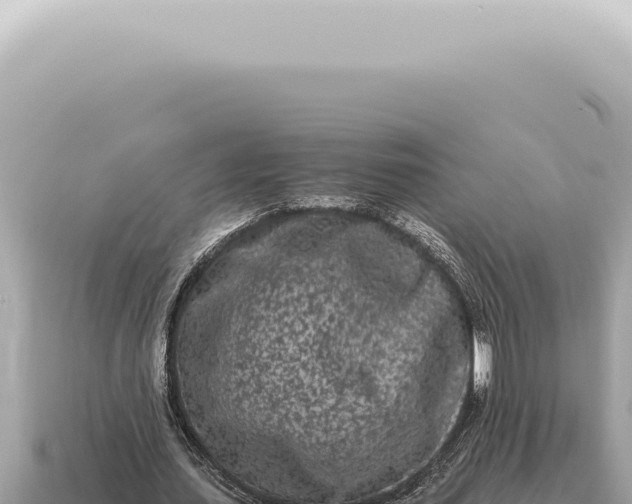 X0000115140627200911101708