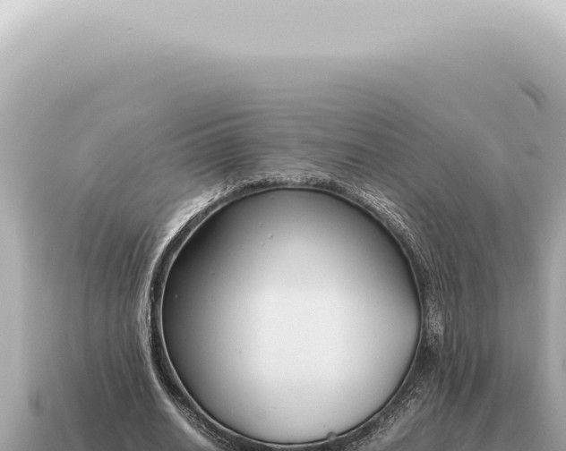 X0000115140630200911101708