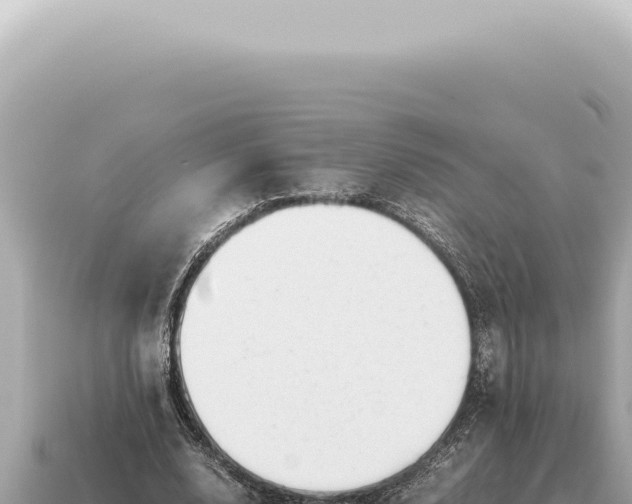 X0000115140632200911101708