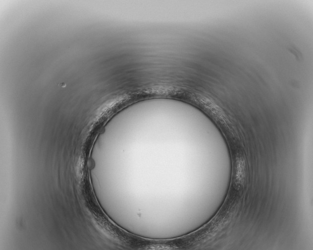 X0000115140636200911101708