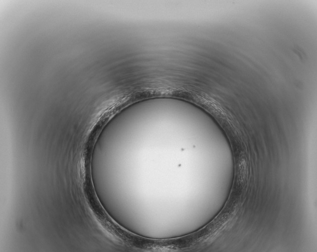 X0000115140638200911101708
