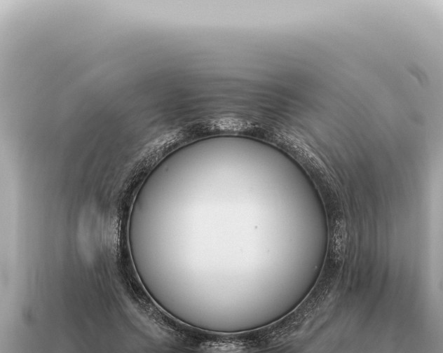 X0000115140639200911101708