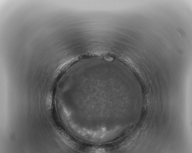 X0000115140640200911101708