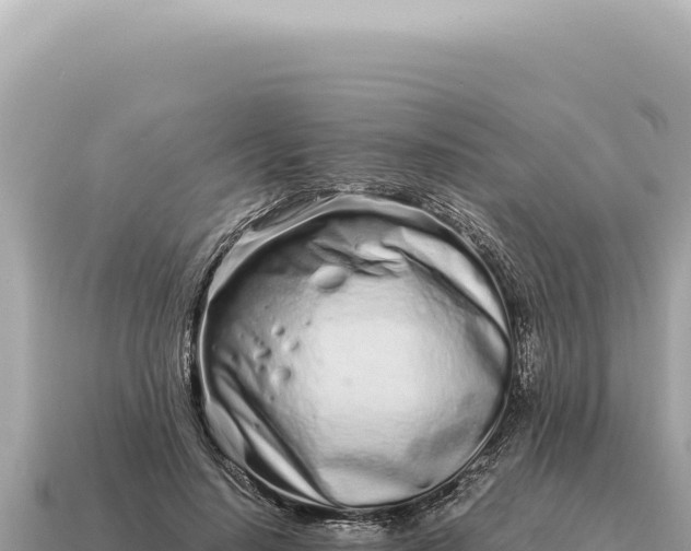 X0000115140644200911101708