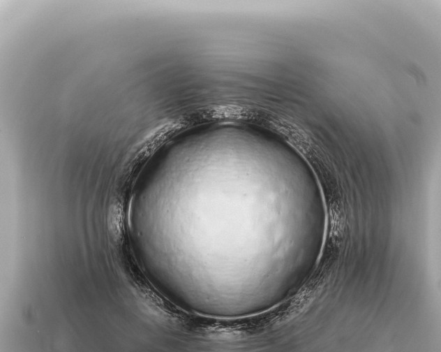 X0000115140648200911101708